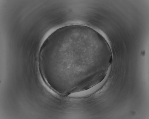 X0000091851389200710031632
