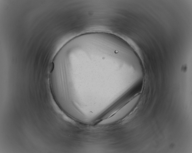X0000091851390200710031632