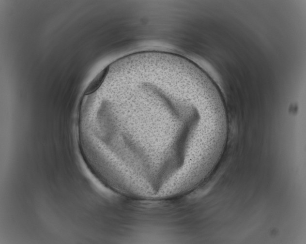 X0000091851391200710031632