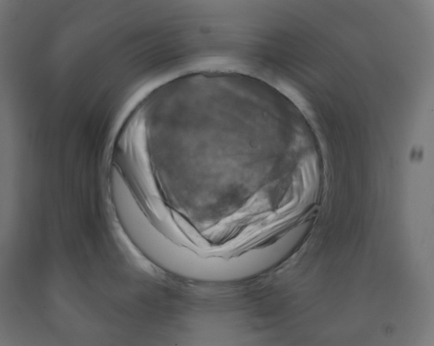 X0000091851392200710031632