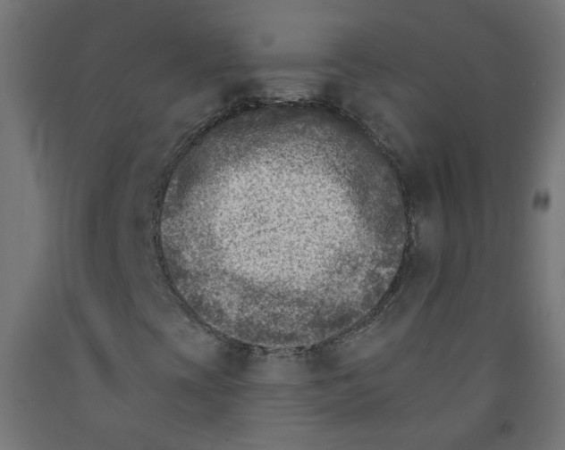 X0000091851393200710031631