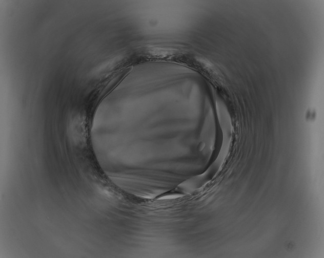 X0000091851394200710031631