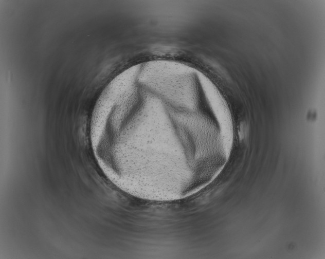 X0000091851396200710031631