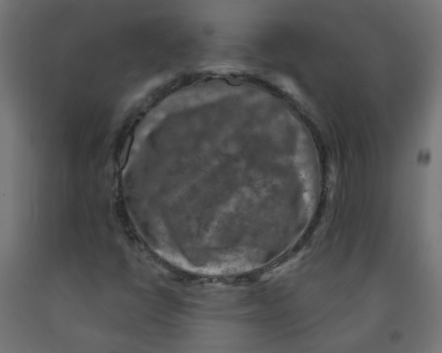 X0000091851398200710031631