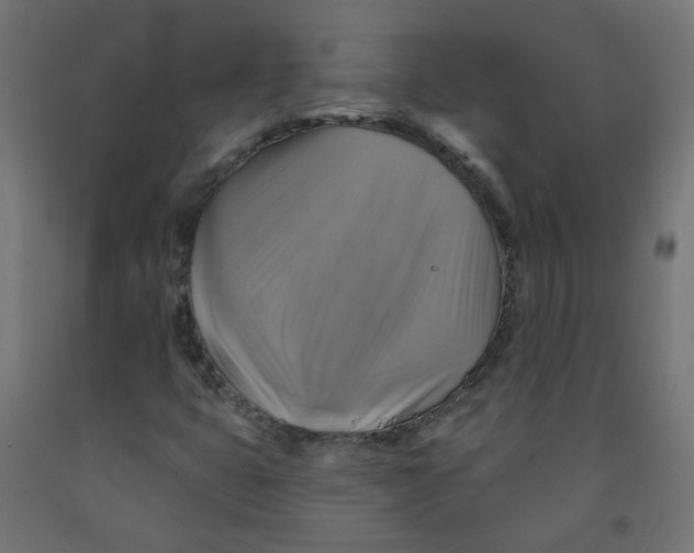 X0000091851399200710031631