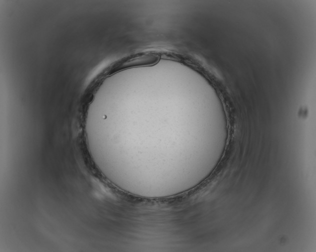 X0000091851400200710031631