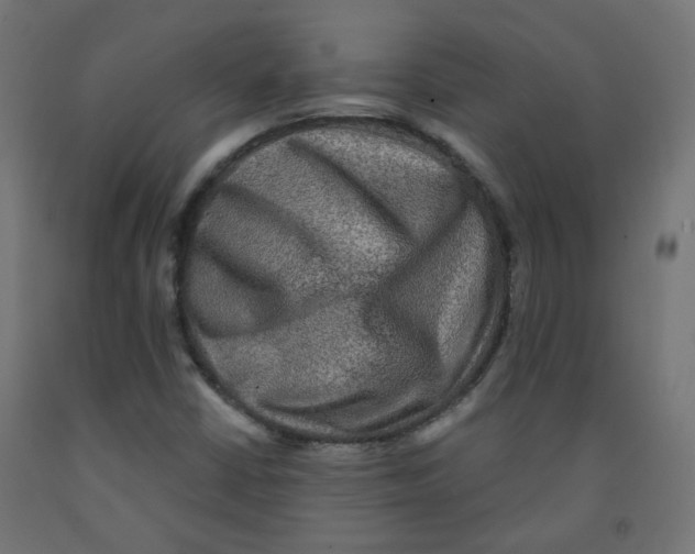 X0000091851402200710031631