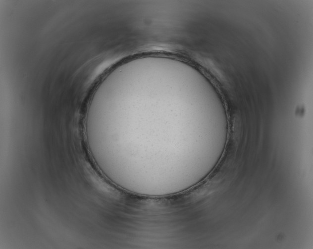 X0000091851404200710031631