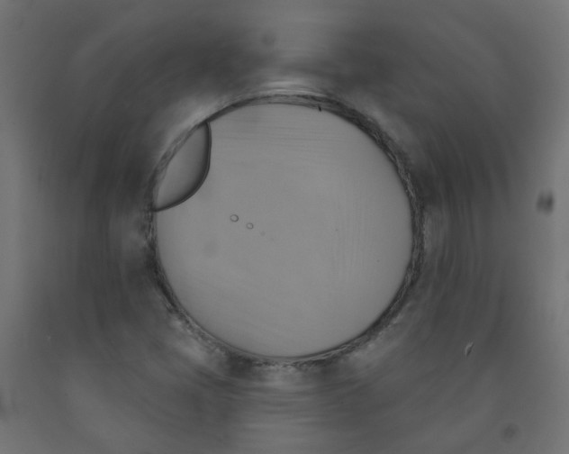 X0000091851405200710031631