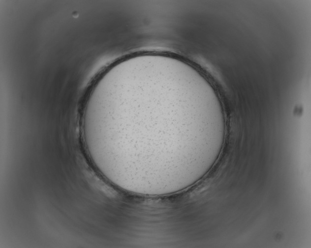 X0000091851408200710031631