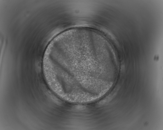 X0000091851409200710031631