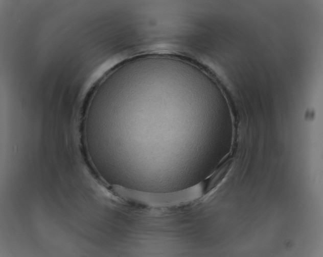 X0000091851410200710031631