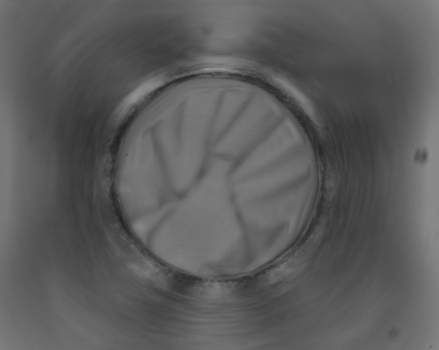 X0000091851411200710031631