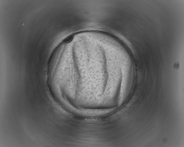 X0000091851415200710031632