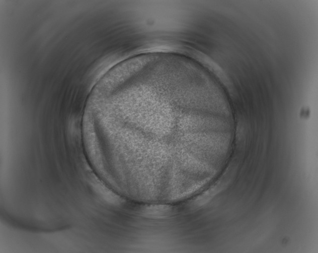 X0000091851417200710031632