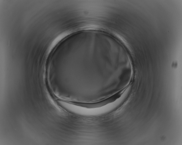 X0000091851418200710031632