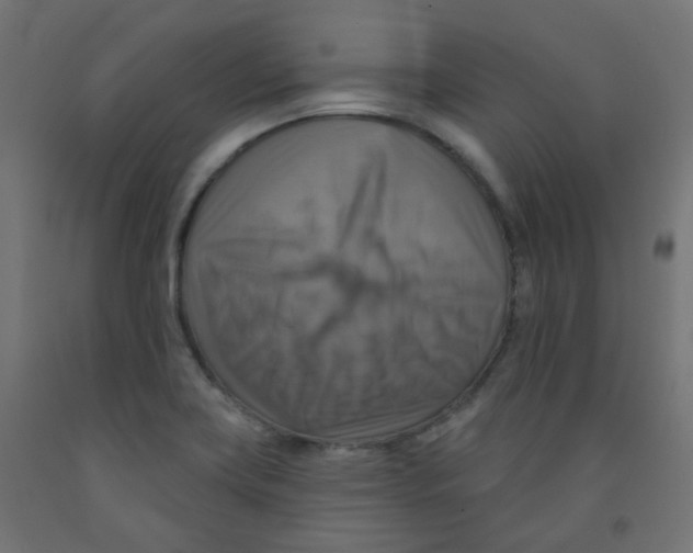 X0000091851419200710031632