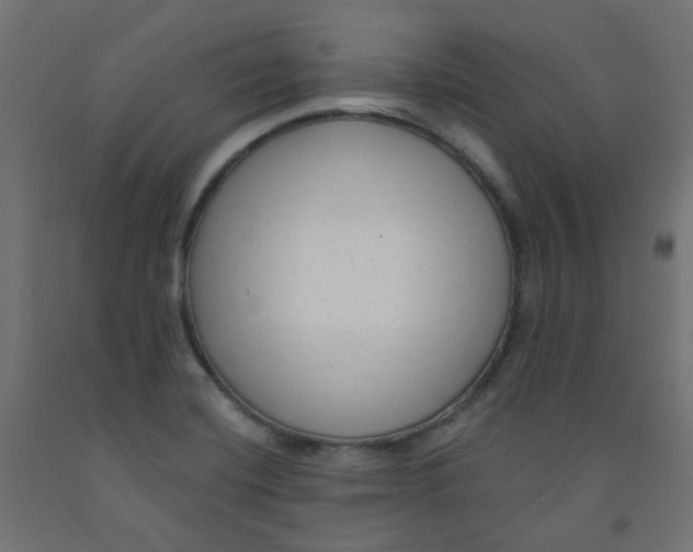 X0000091851420200710031632