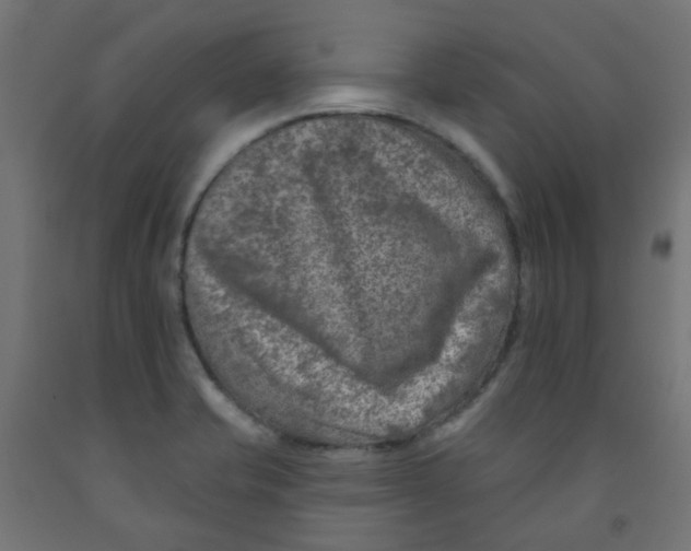X0000091851421200710031632