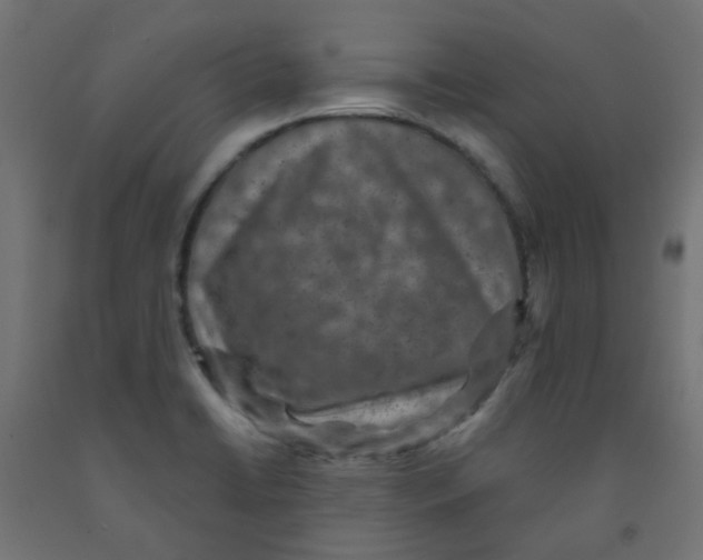 X0000091851422200710031632