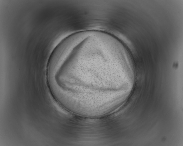 X0000091851423200710031632