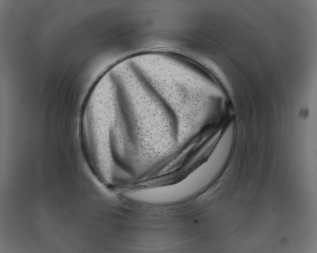 X0000091851424200710031632