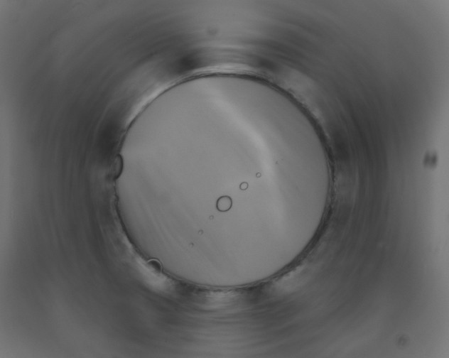 X0000091851425200710031632