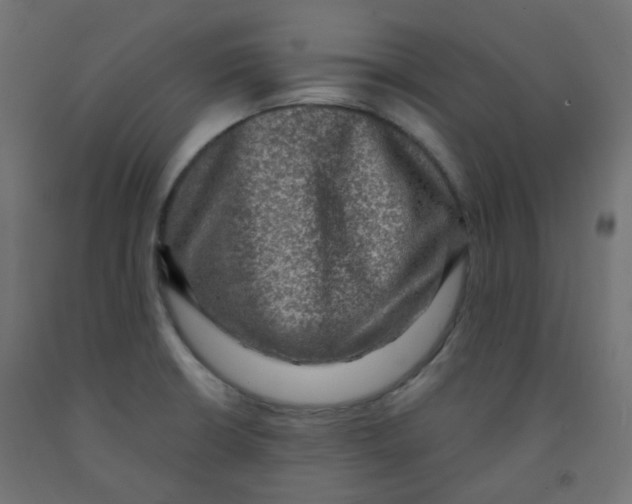 X0000091851426200710031632