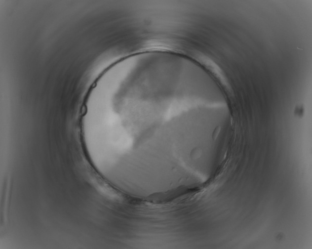 X0000091851427200710031632