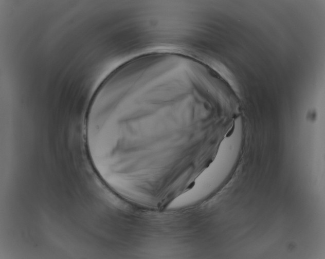X0000091851428200710031632