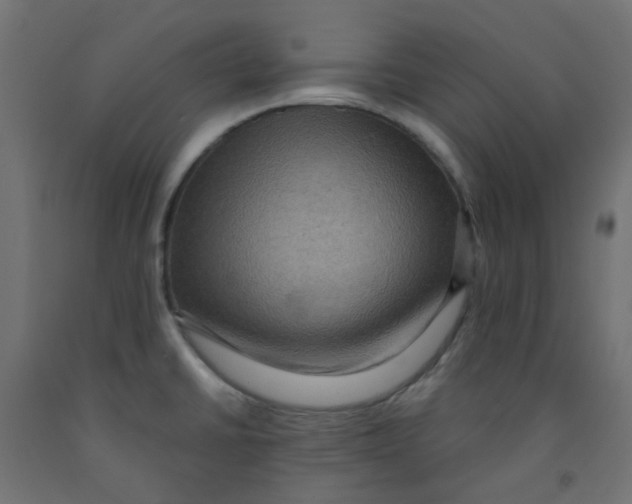 X0000091851430200710031632