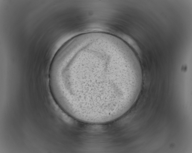 X0000091851431200710031632