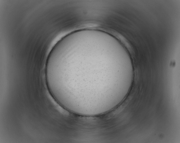 X0000091851432200710031632
