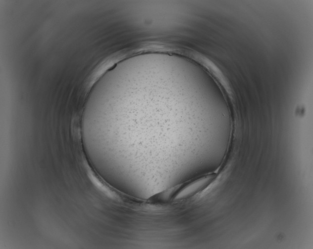 X0000091851433200710031632