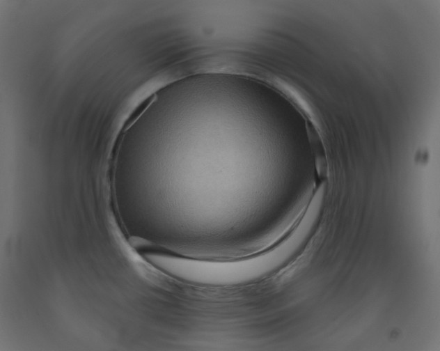X0000091851434200710031632