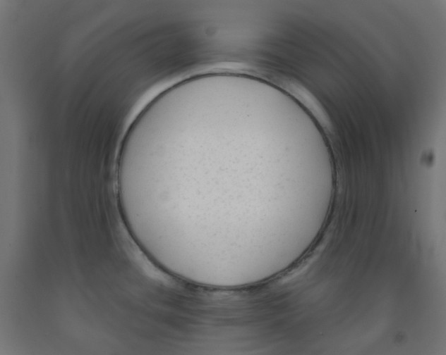 X0000091851436200710031632