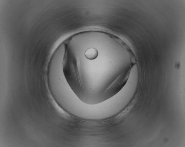 X0000091851438200710031632