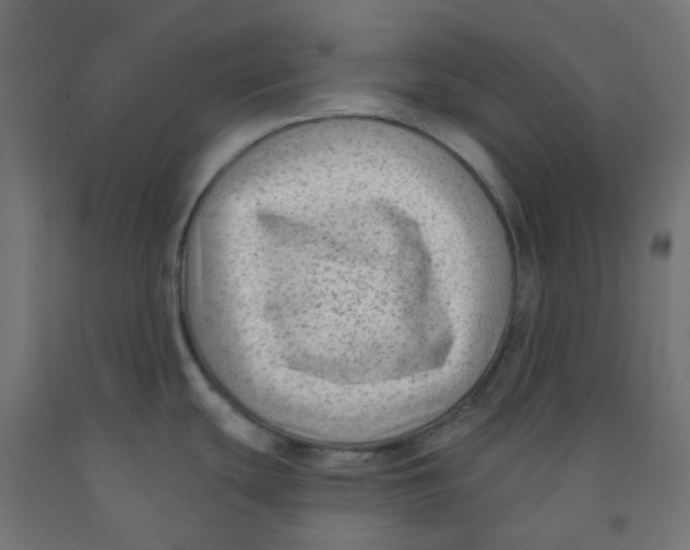X0000091851439200710031632