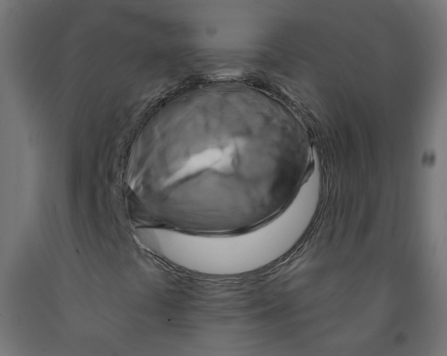 X0000091851441200710031631