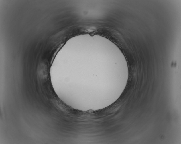 X0000091851442200710031631