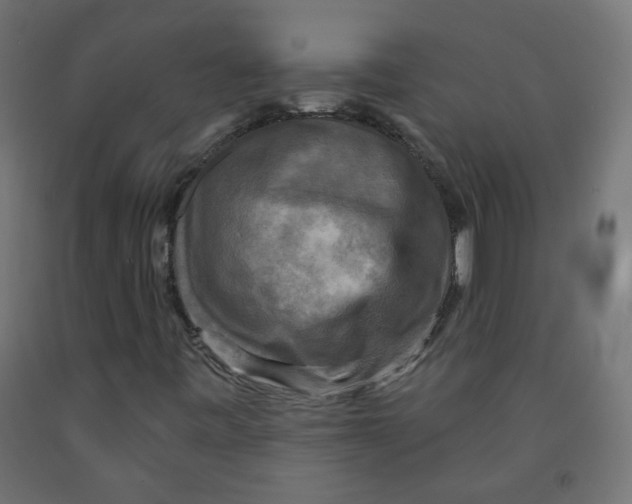 X0000091851443200710031631