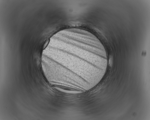 X0000091851444200710031631