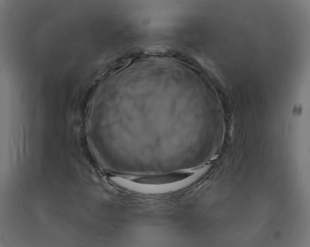 X0000091851445200710031631