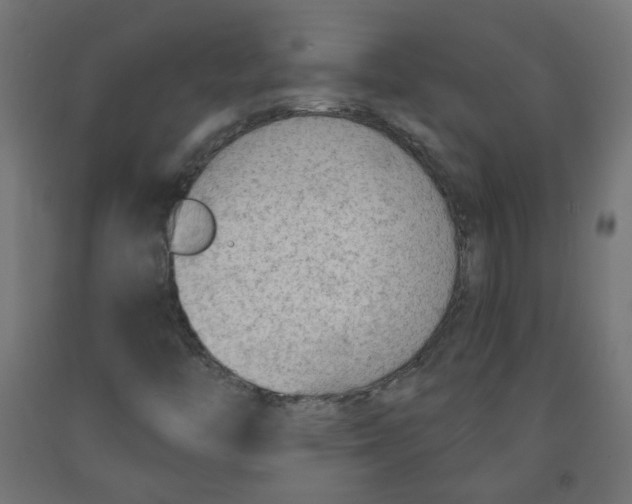 X0000091851446200710031631
