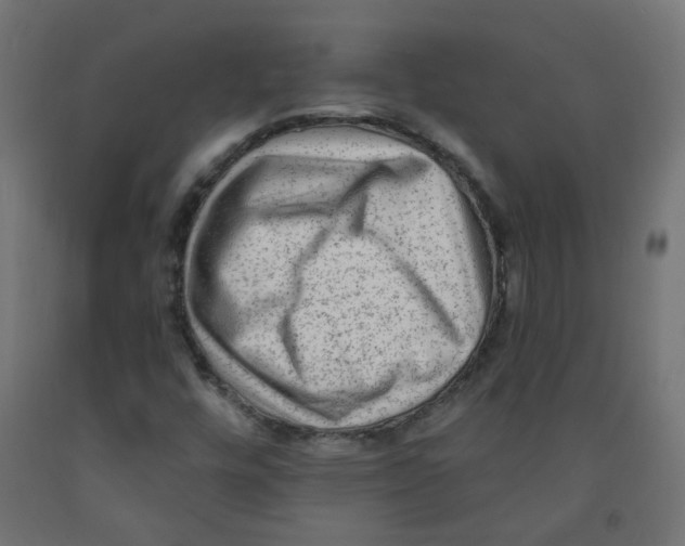 X0000091851448200710031631