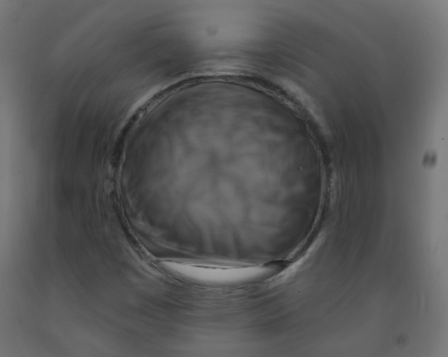 X0000091851449200710031631