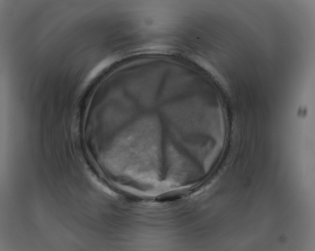 X0000091851450200710031631