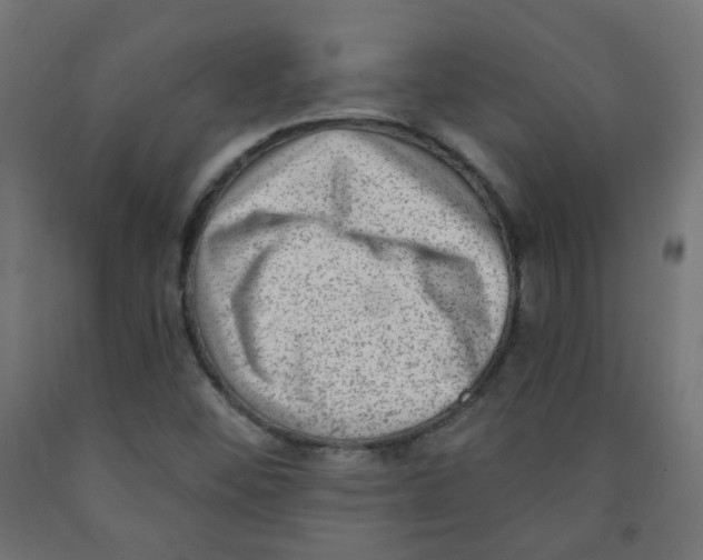 X0000091851452200710031631