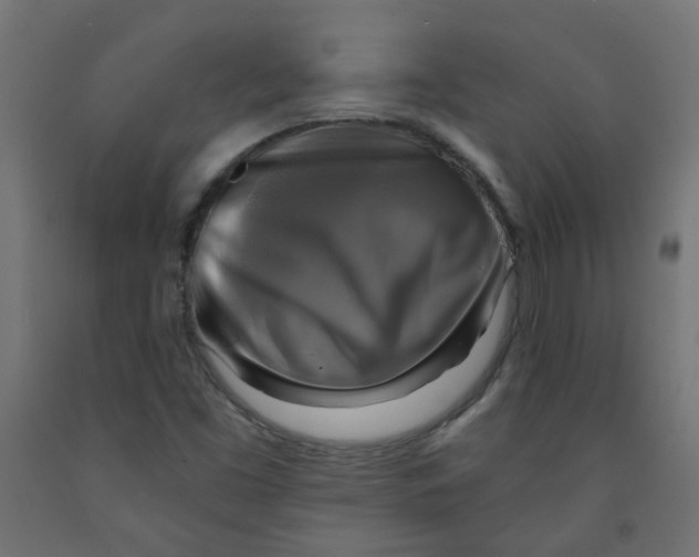 X0000091851453200710031631