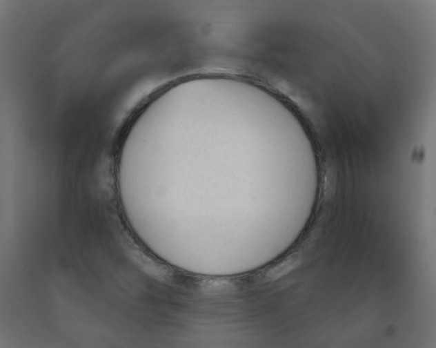 X0000091851454200710031631